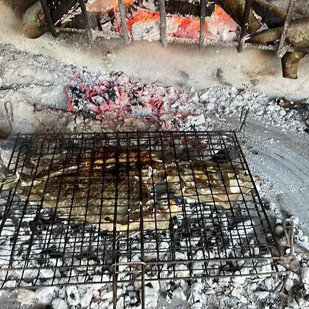 Kate - Wake Up To The Sea, Terrace, Garden & Parking, - Dalmatia Apartman