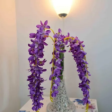 Kate - Wake Up To The Sea, Terrace, Garden & Parking, - Dalmatia Appartamento