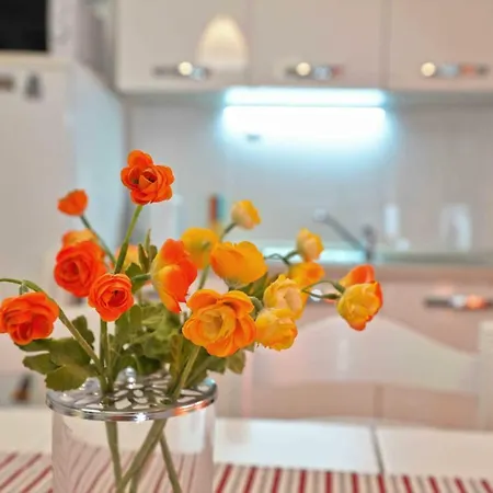 Apartment Kate With Sea View, Balcony And Parking, Murter, Dalmatia Murter
