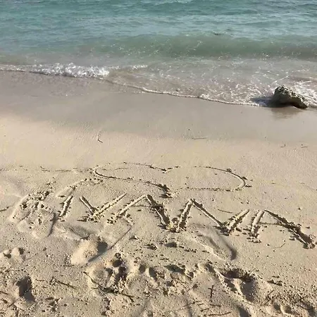 Kate - Wake Up To The Sea, Terrace, Garden & Parking, - Dalmatia Murter