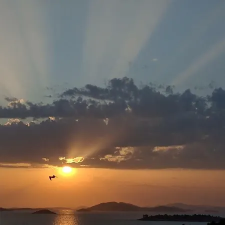 Kate - Wake Up To The Sea, Terrace, Garden & Parking, - Dalmatia Apartman Murter