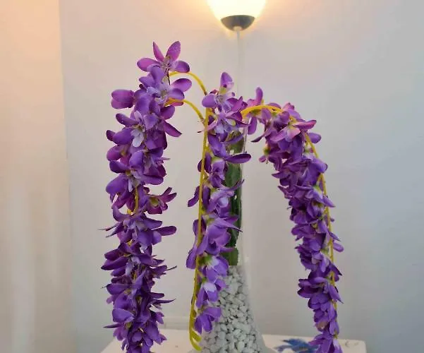 Kate - Wake Up To The Sea, Terrace, Garden & Parking, - Dalmatia 公寓