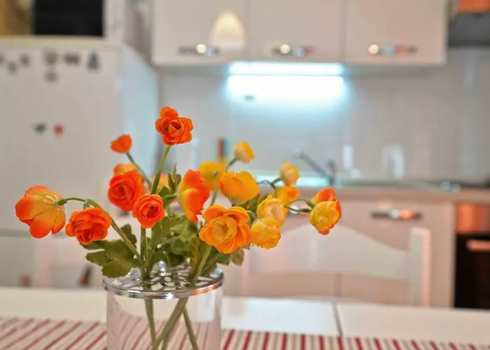 Apartman Kate - Wake Up To The Sea, Terrace, Garden & Parking, - Dalmatia Murter