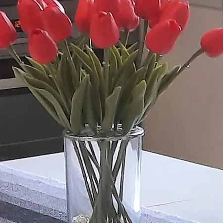 Kate - Wake Up To The Sea, Terrace, Garden & Parking, - Dalmatia Murter