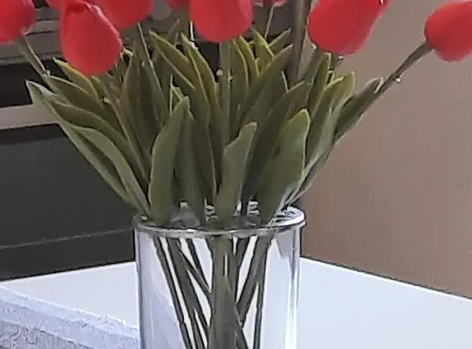 Kate - Wake Up To The Sea, Terrace, Garden & Parking, - Dalmatia Murter