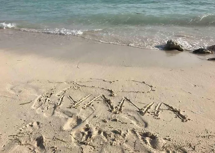 Kate - Wake Up To The Sea, Terrace, Garden & Parking, - Dalmatia Murter