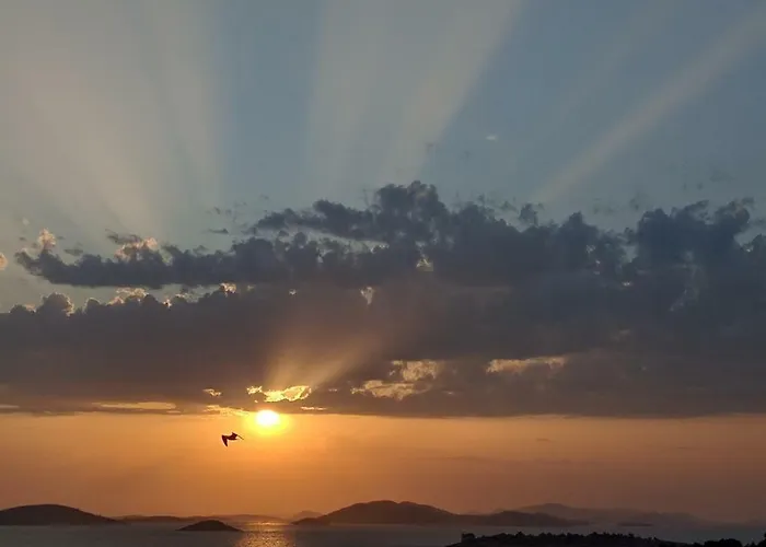 Kate - Wake Up To The Sea, Terrace, Garden & Parking, - Dalmatia Daire Murter